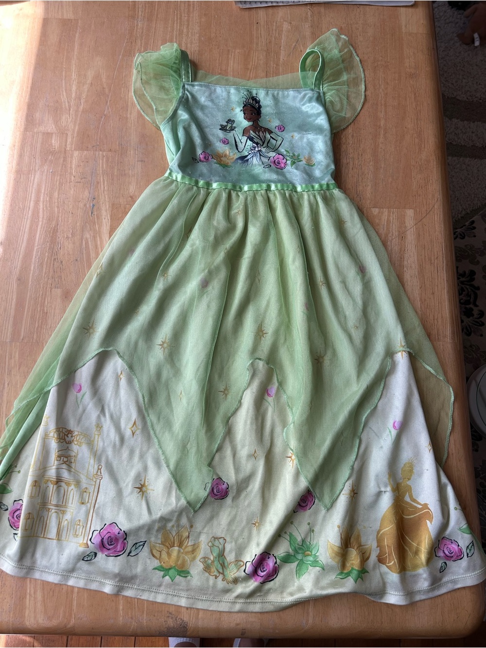 Disney Princess Tiana fantasy nightgown sleepwear girls size 6 Dress Up Costume